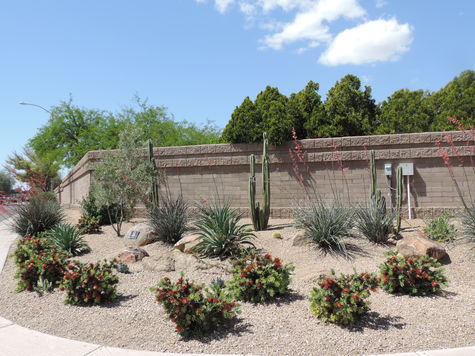 Photo Gallery | Arizona Landscape Contractors Association